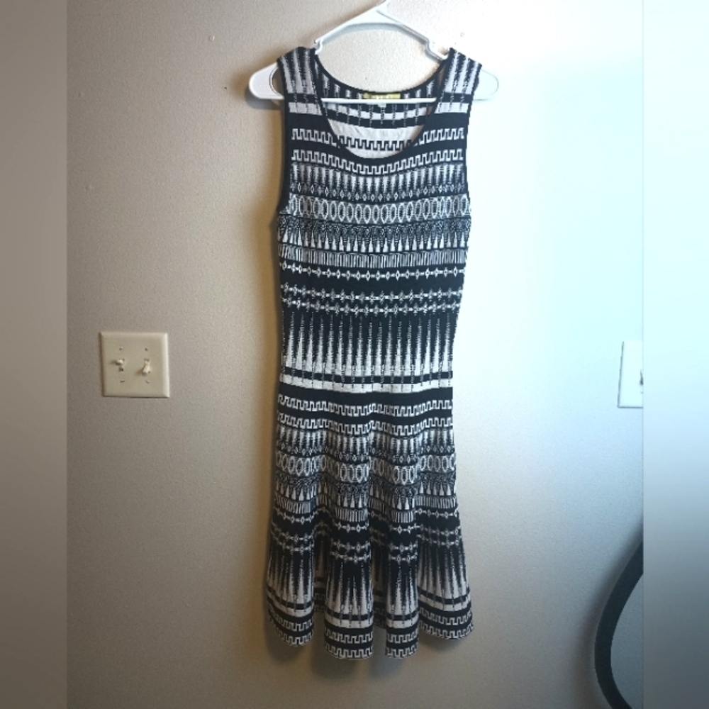 GIANNI BINI Geometric Fit and Flare Dress Size Medium